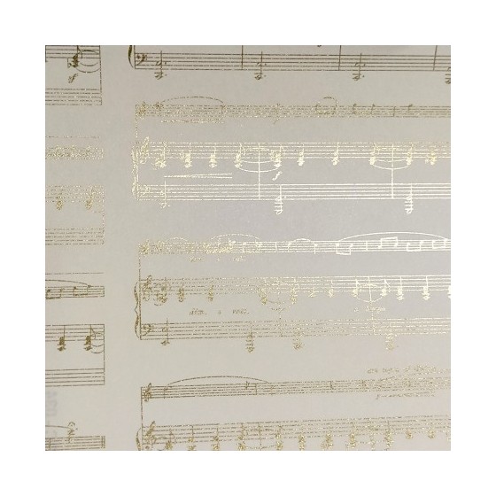 2 Papeles ROSSI Musical Score 50x70