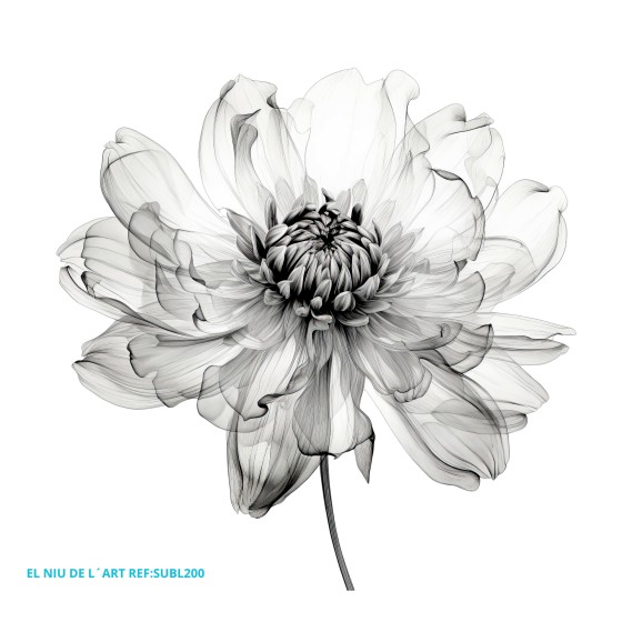 Sublimación Premium 200