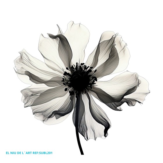 copy of Sublimación Premium...