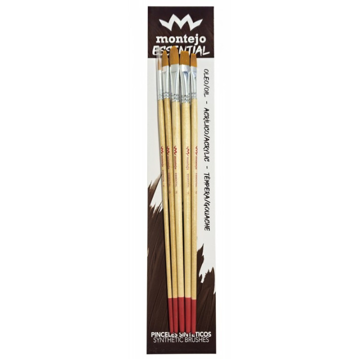 Set de 5 pinzells assortit SINTÈTIC