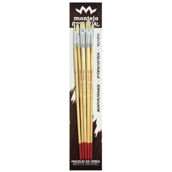 Set 5 pinceles surtido CERDA