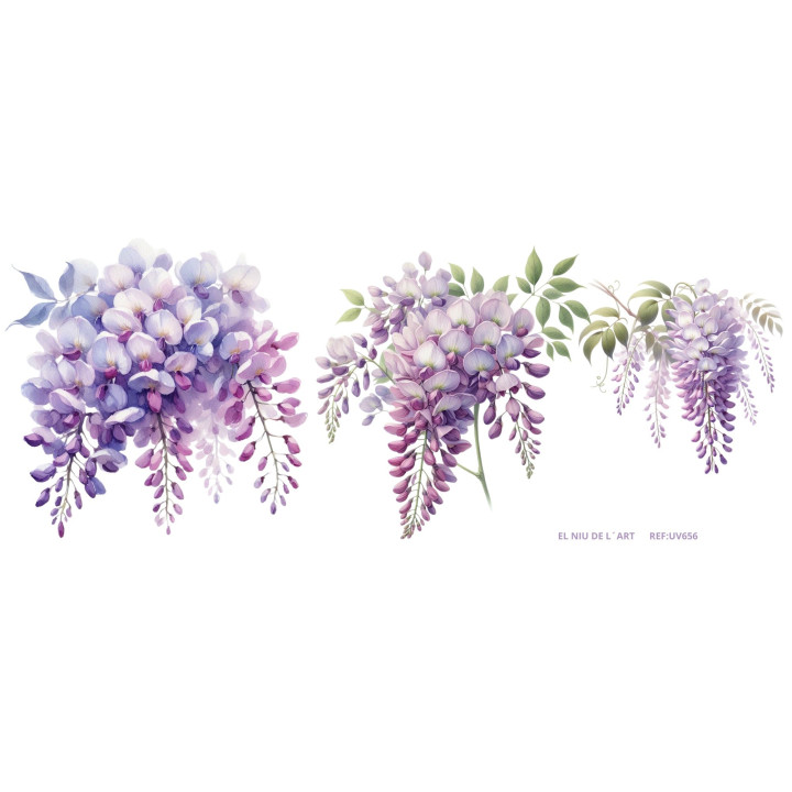 Transfer Color UV656