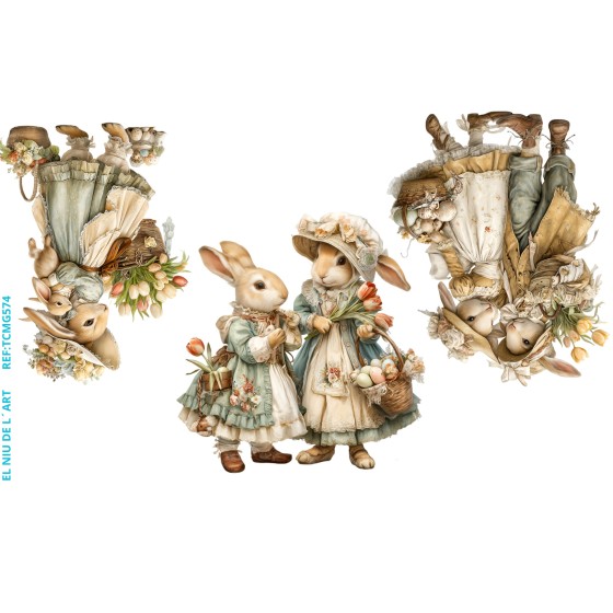 Transfer DTF EL NIU DE L´ART G574