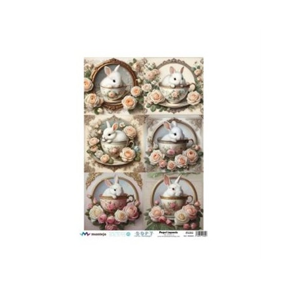 PAPEL DE ARROZ JAPONES SPA5609 A3 30x41cm