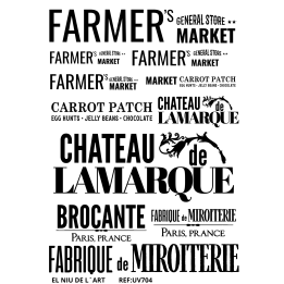copy of 