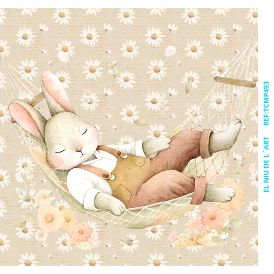 TRANSFER Color EL NIU DE L´ART P493