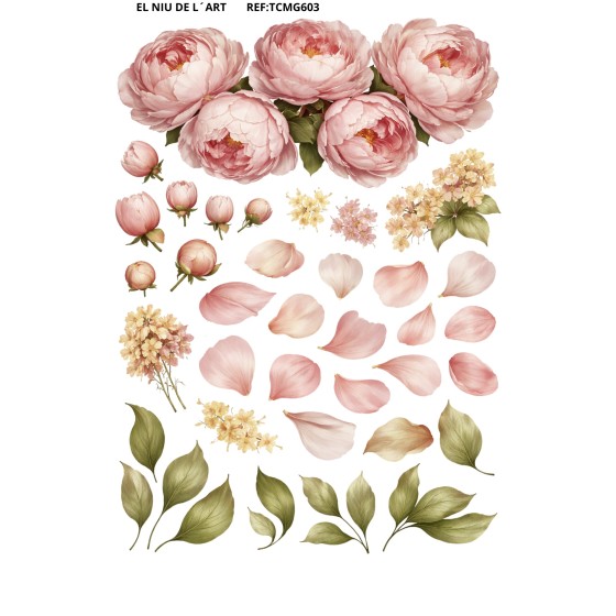 Transfer DTF EL NIU DE L´ART G603