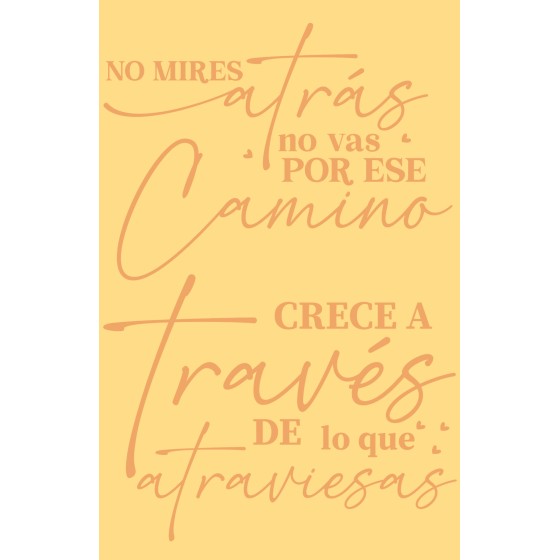 copy of TRANSFERS UV...