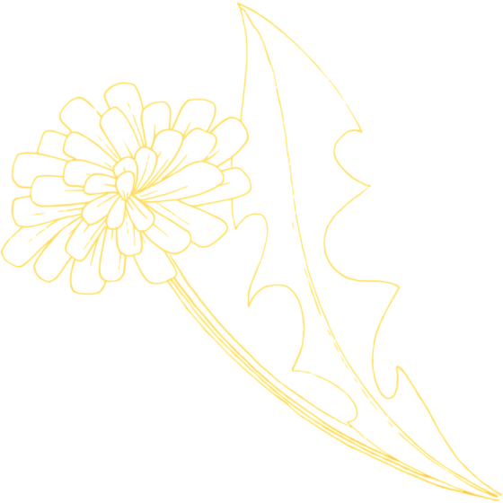 copy of TRANSFERS UV...