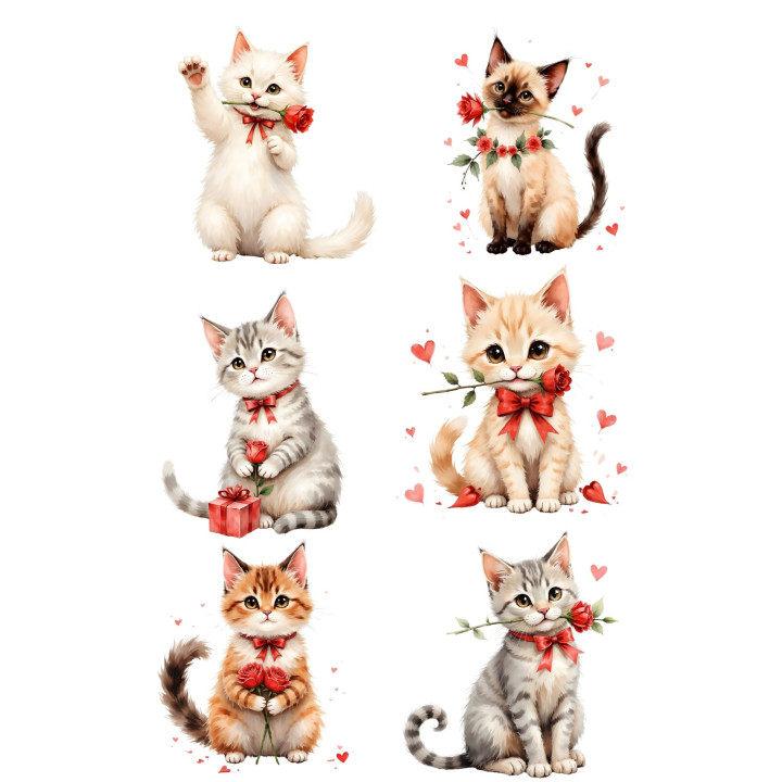 Transfer DTF Gatos