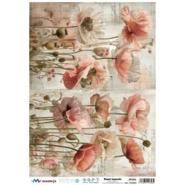 Papel De Arroz Soft A3 30x41cm SPA5620
