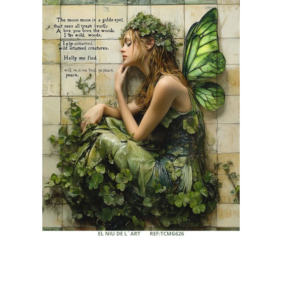 Transfer DTF EL NIU DE...