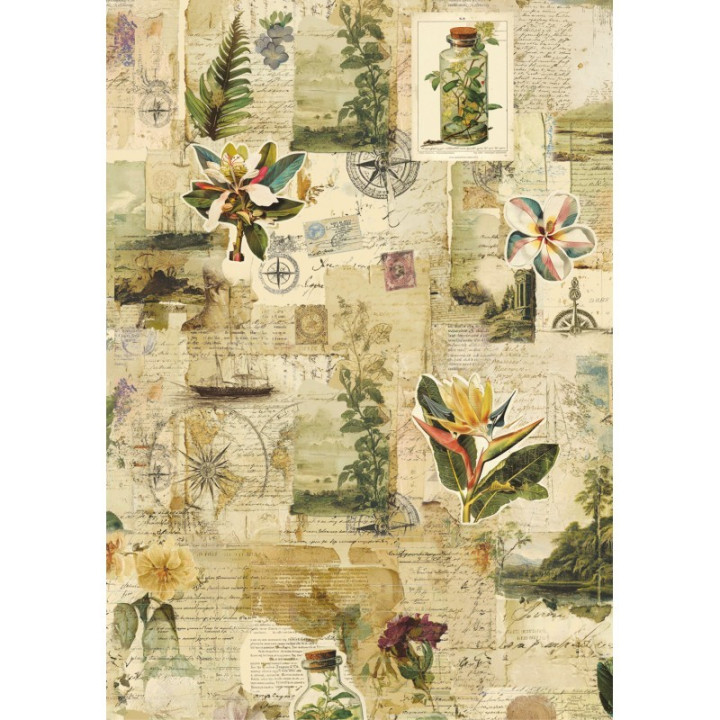 Rice Paper A5 MIXED 8/Pkg Jungle Vibes