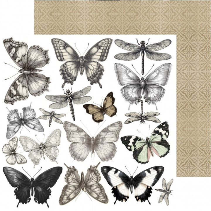 My First Year Vol.2 Paper Pad 12"x12" 12/Pkg
