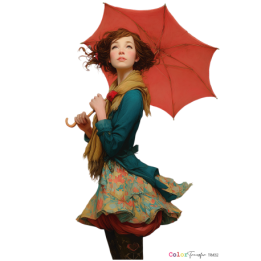 COLOR TRANSFER 27x21cm.*