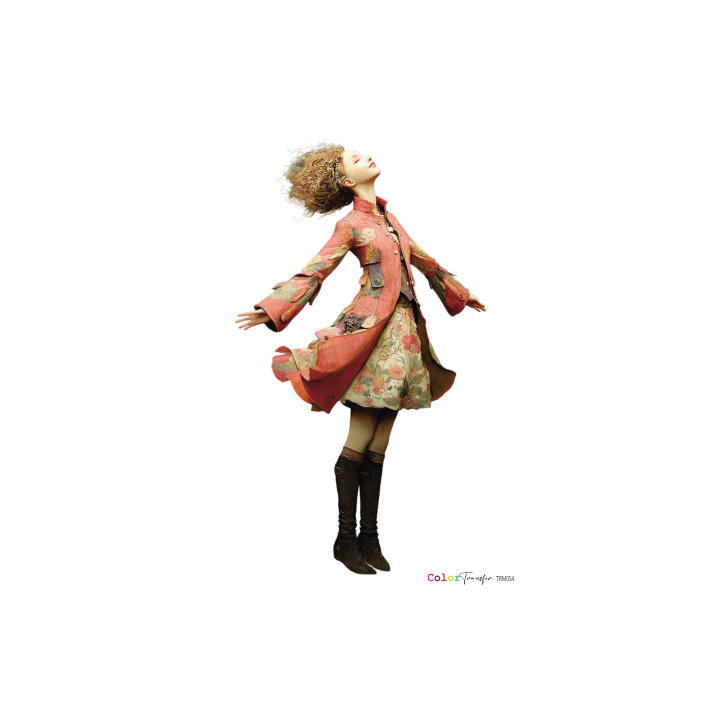 COLOR TRANSFER 27x21cm.*