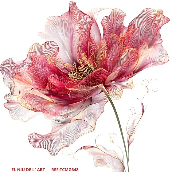 Transfer DTF EL NIU DE...