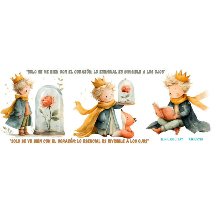Transfer Pincipito