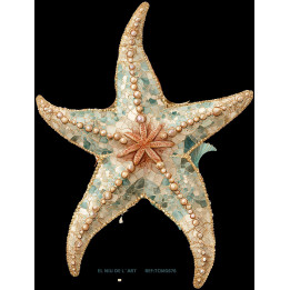 Transfer DTF Estrella Mar