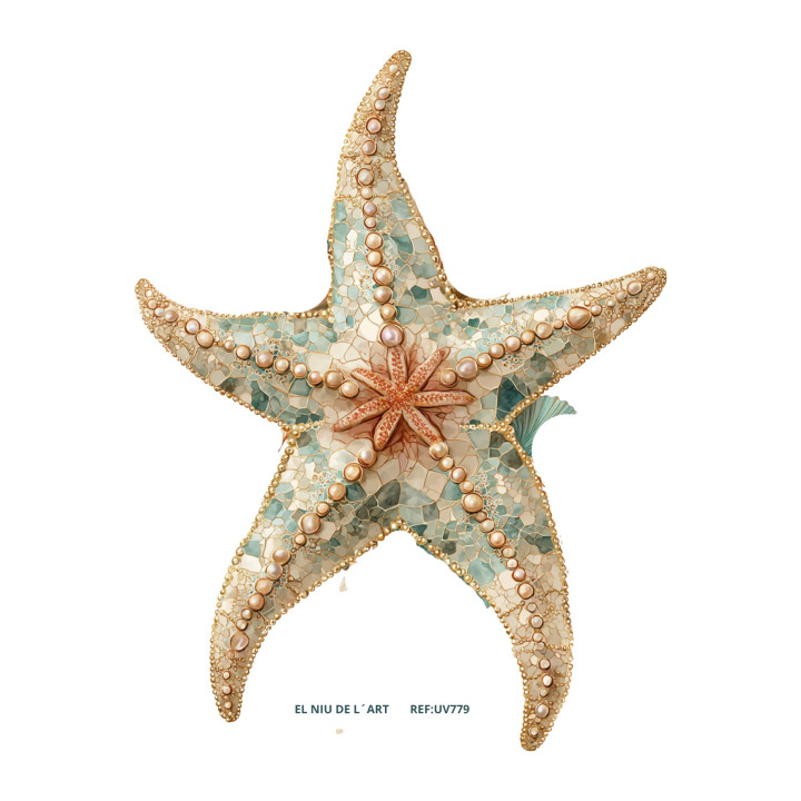Transfer Estrella