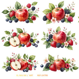 Transfer Manzanas