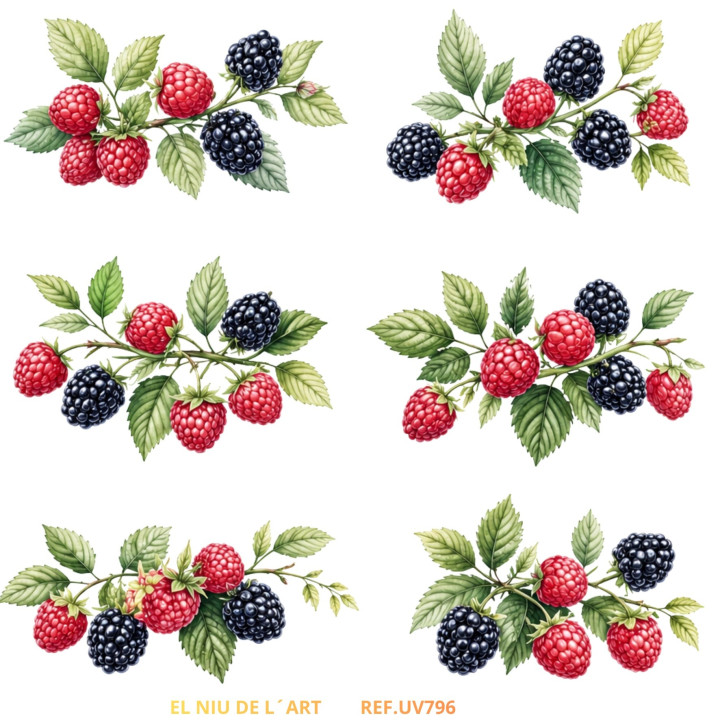 Transfer Moras