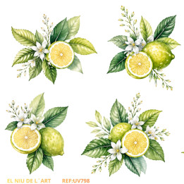 Transfer Limones