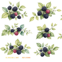 Transfer Moras