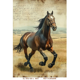 Transfer DTF Caballo