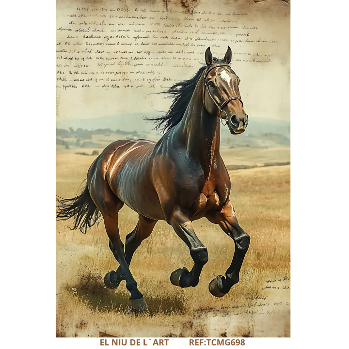 Transfer DTF Cavalo