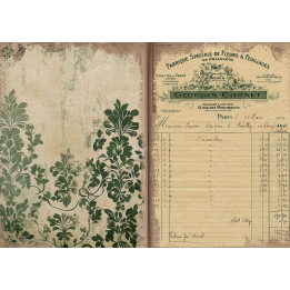 Paper d'arròs -613