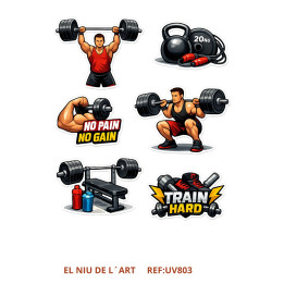 Transfer Gym  Gizonezko