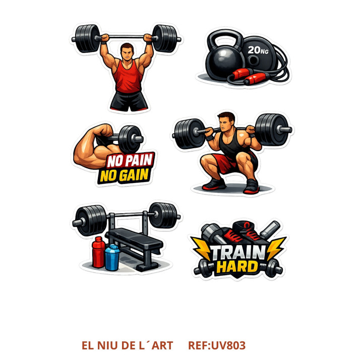 Transfer Gym  Homem