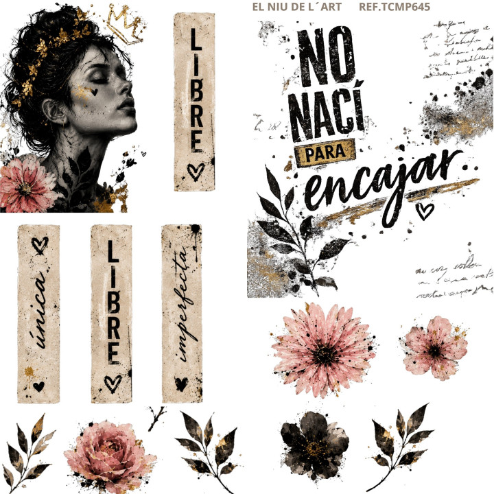 Transfer Mulher Frase