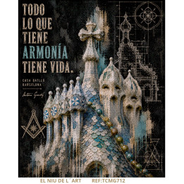 Transfer DTF Gaudi