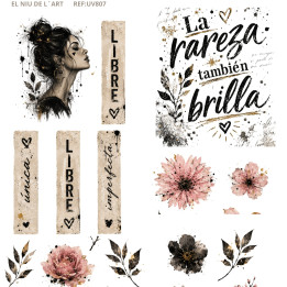 Transfer Mulher Frase