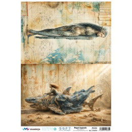 Paper D’arròs Soft A3 30x41cm SPA5620
