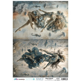 Paper D’arròs Soft A3 30x41cm SPA5620