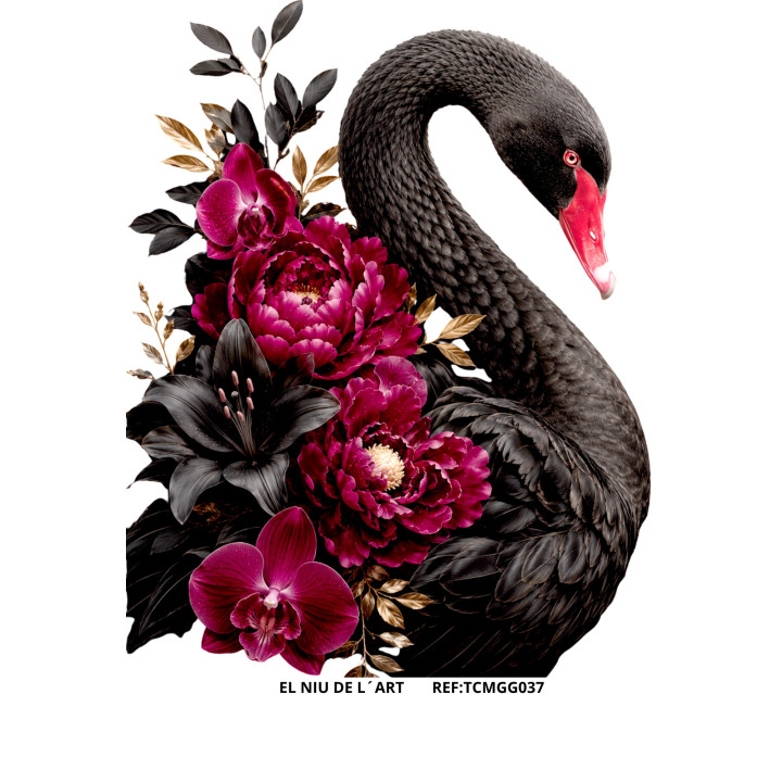 Transfer Cisne Negro GG37