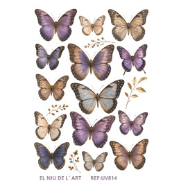 Transfer Mariposas