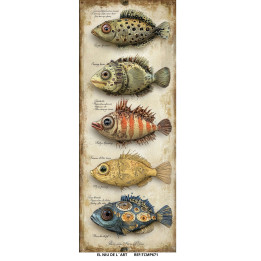 Transfer Peces DTF