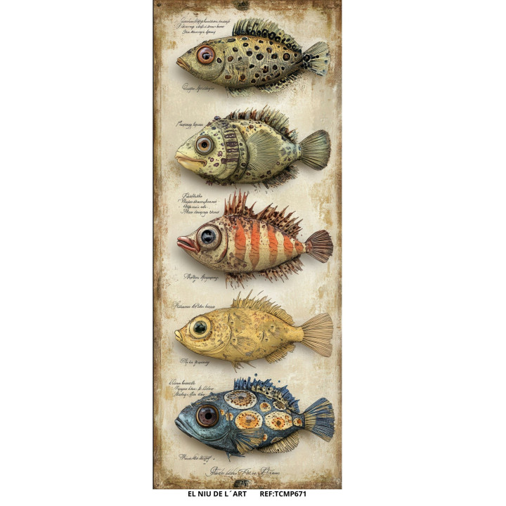 Transfer Peces DTF