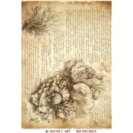 Paper d’arròs Corals sèpia