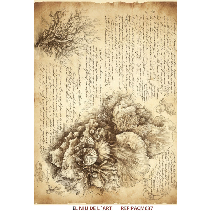 Papel de arroz Corales Sepia