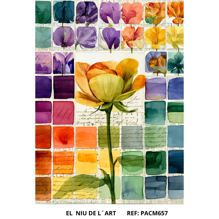 Papel de Jardim Cromático-657
