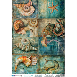 Paper d’arròs Soft A3