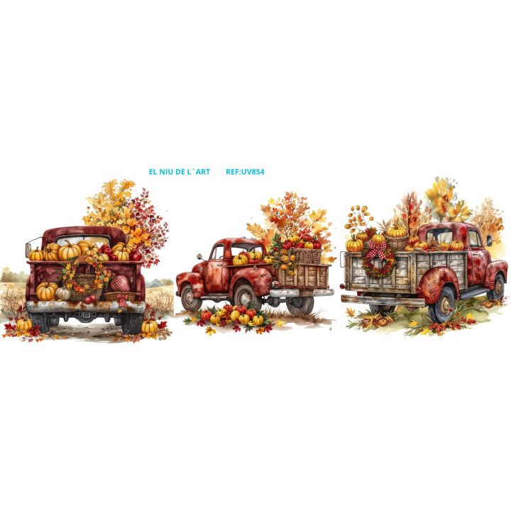 Transfer Camionetas