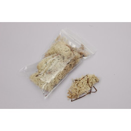 Molsa NATURAL 15 gr.