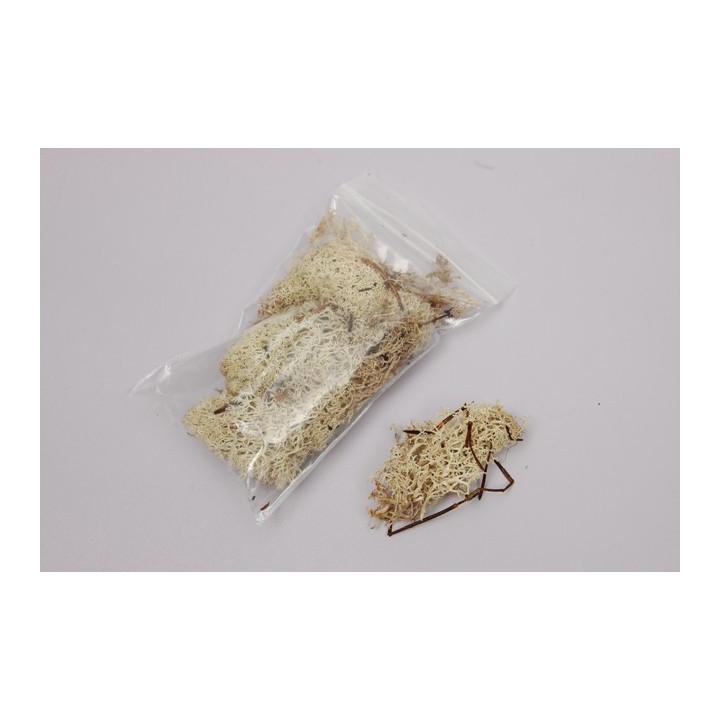 Musgo NATURAL 15 gr.