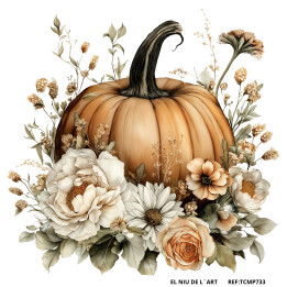 Transfer Calabaza